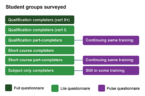 Diagram of student groups surveyed